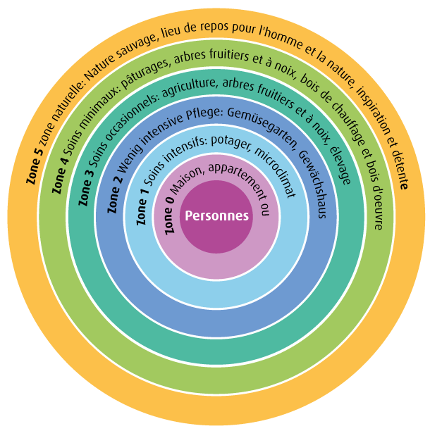 diagramme circulaire: Les cinq zones de permaculture! Dans le jardin de permaculture classique, l'espace est divisé en cinq zones en raison du principe de courtes distances.