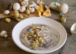 Pilzsuppe mit Pilzen