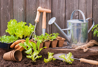 Verschiedene Garten-Geräte