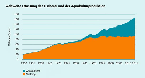 Weltweite Erfassung der Fischerei und der Aquakulturproduktion
