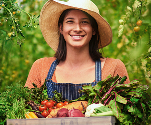 Eine Person hält eine Harasse mit frischem Garten-Gemüse und Salat in den Händen.