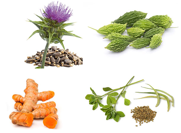 Pflanzen gegen Diabetes (Foto:123RF) Bockshornklee, Kurkuma, Mariendistel und Bittermelone