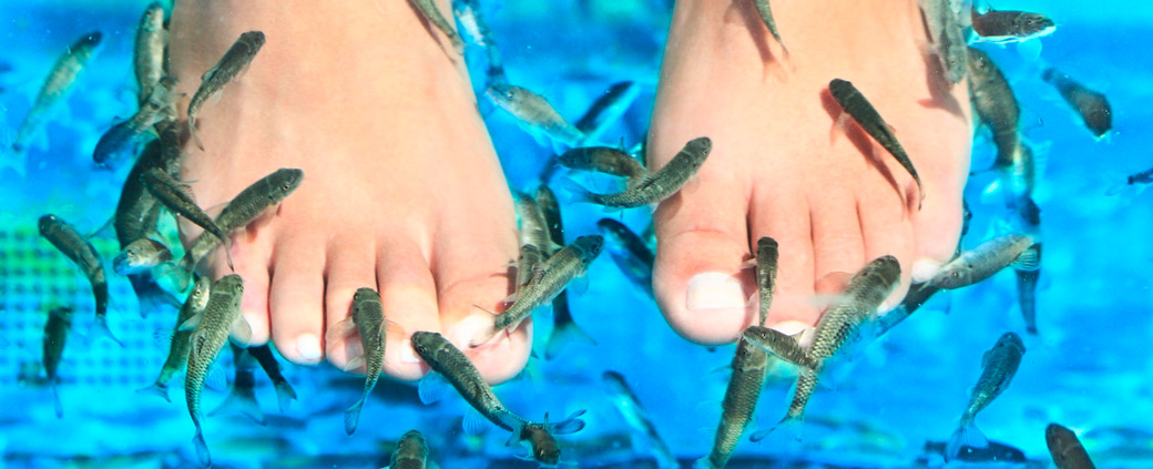 De petits poissons entourent deux pieds et grignotent les vieilles particules de peau.